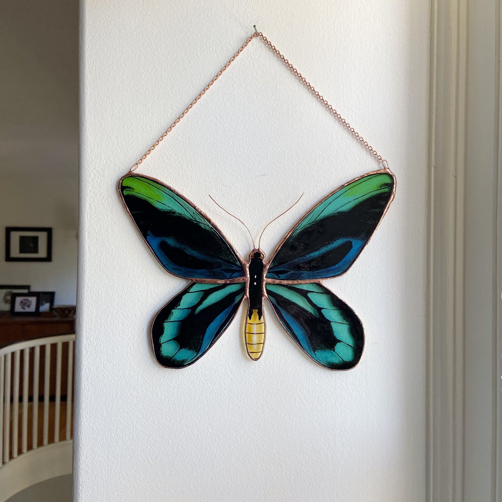 Queen Alexandra's Birdwing Butterfly / ABJ glassworks